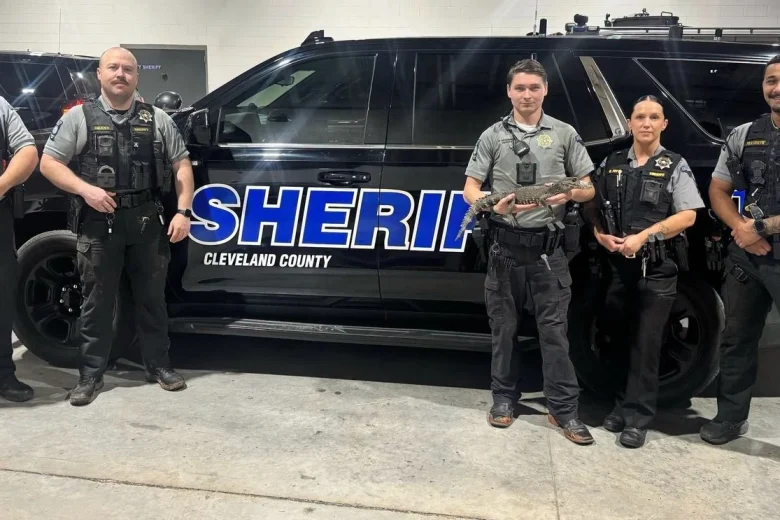 Deputies find missing pet caiman after weeks in Cleveland County